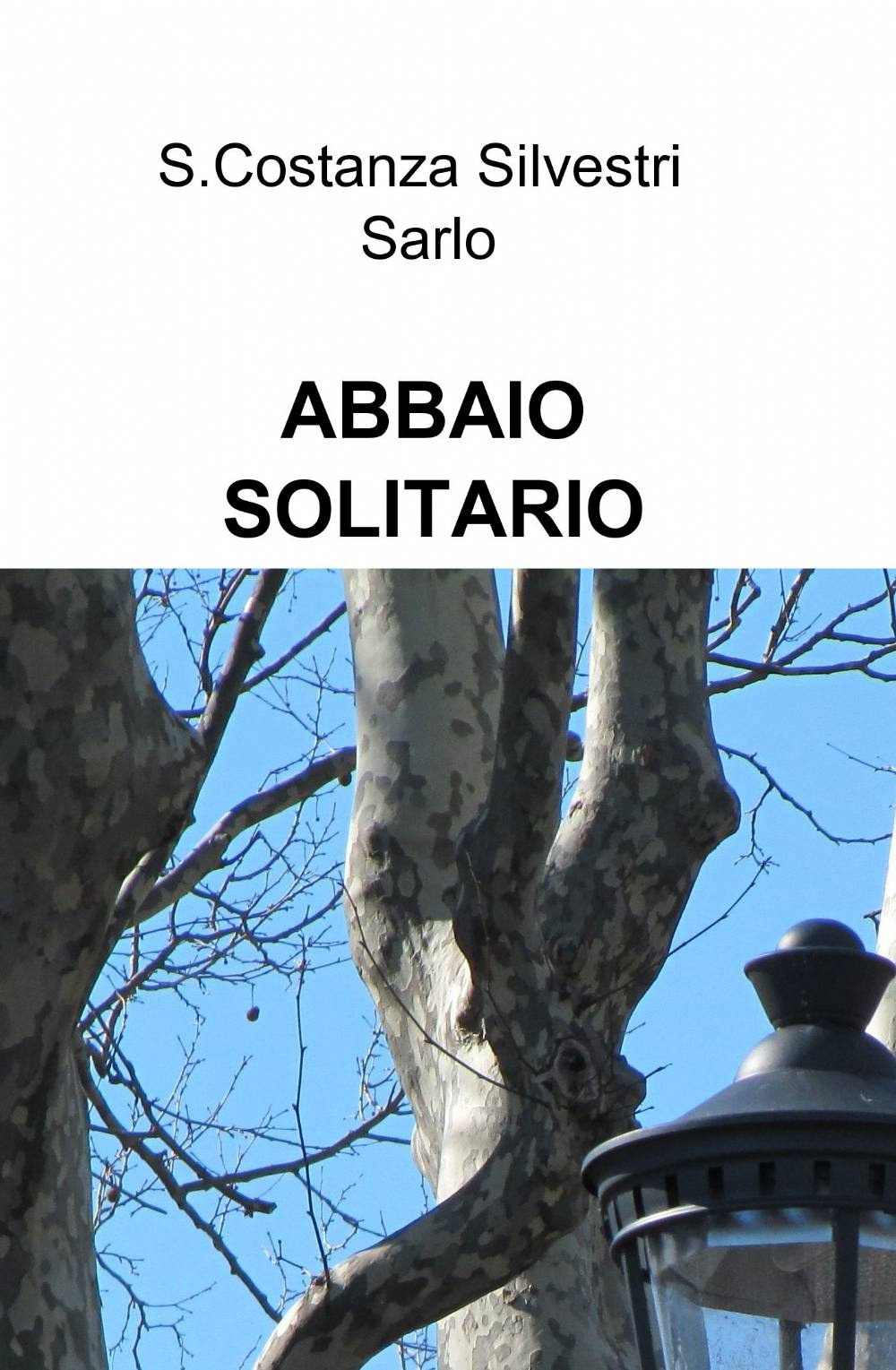 Abbaio solitario