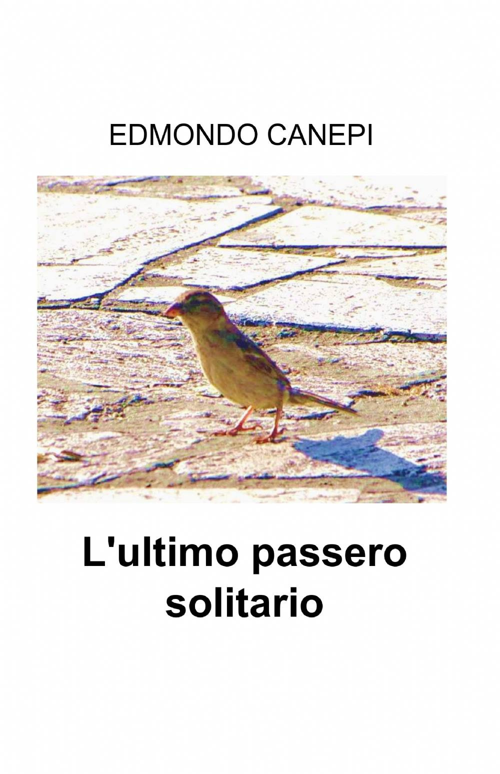 L'ultimo passero solitario