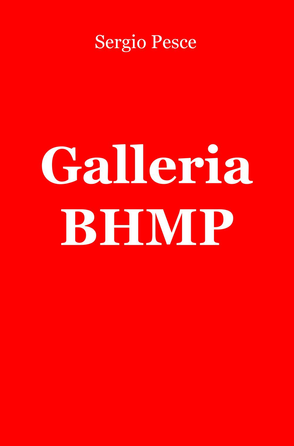 Galleria BHMP