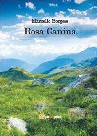Rosa canina