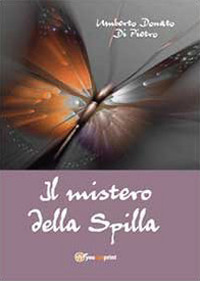 Il mistero della spilla