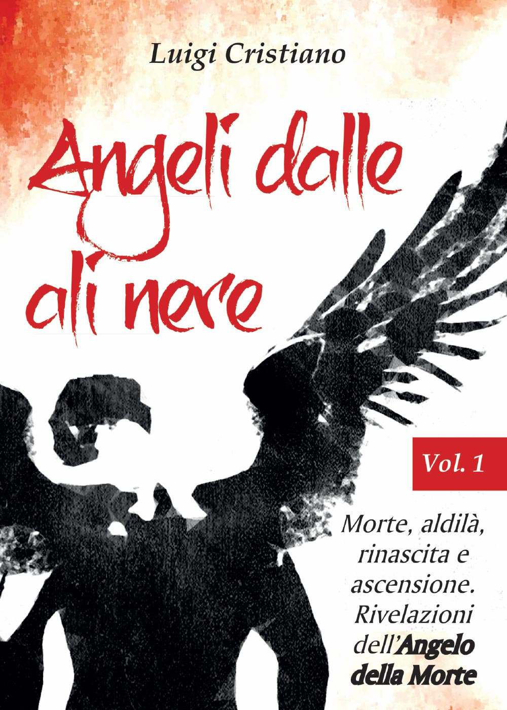Angeli dalle ali nere. Vol. 1: Morte, aldilà, rinascita e ascensione. Rivelazioni dell'Angelo della Morte