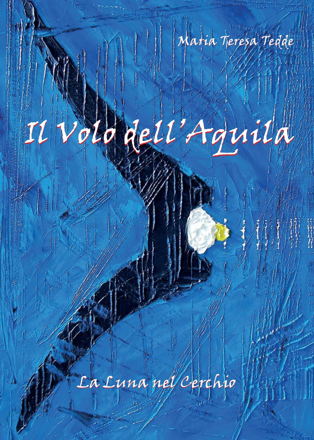Il volo dell'aquila