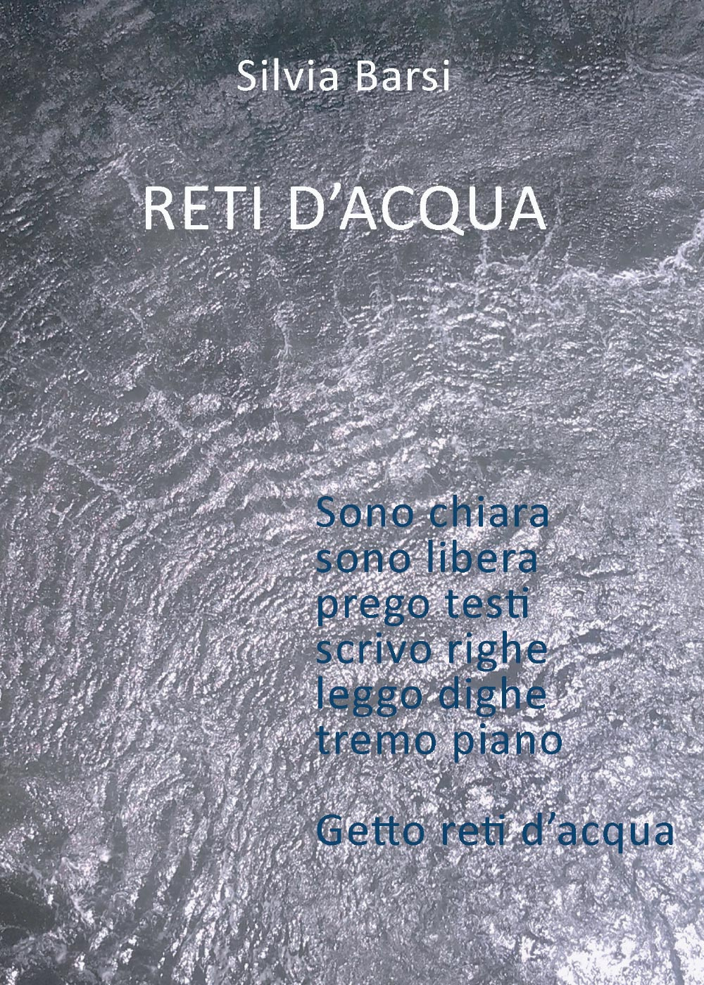 Reti d'acqua. Vol. 1: Acqua e terra