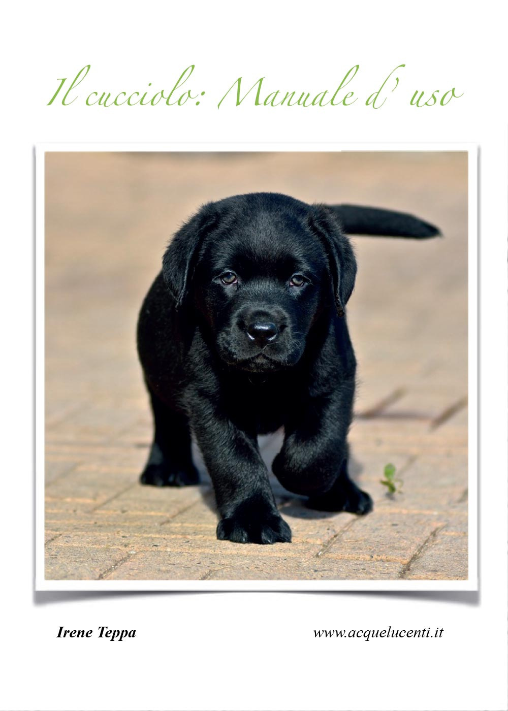 Il cucciolo: manuale d'uso