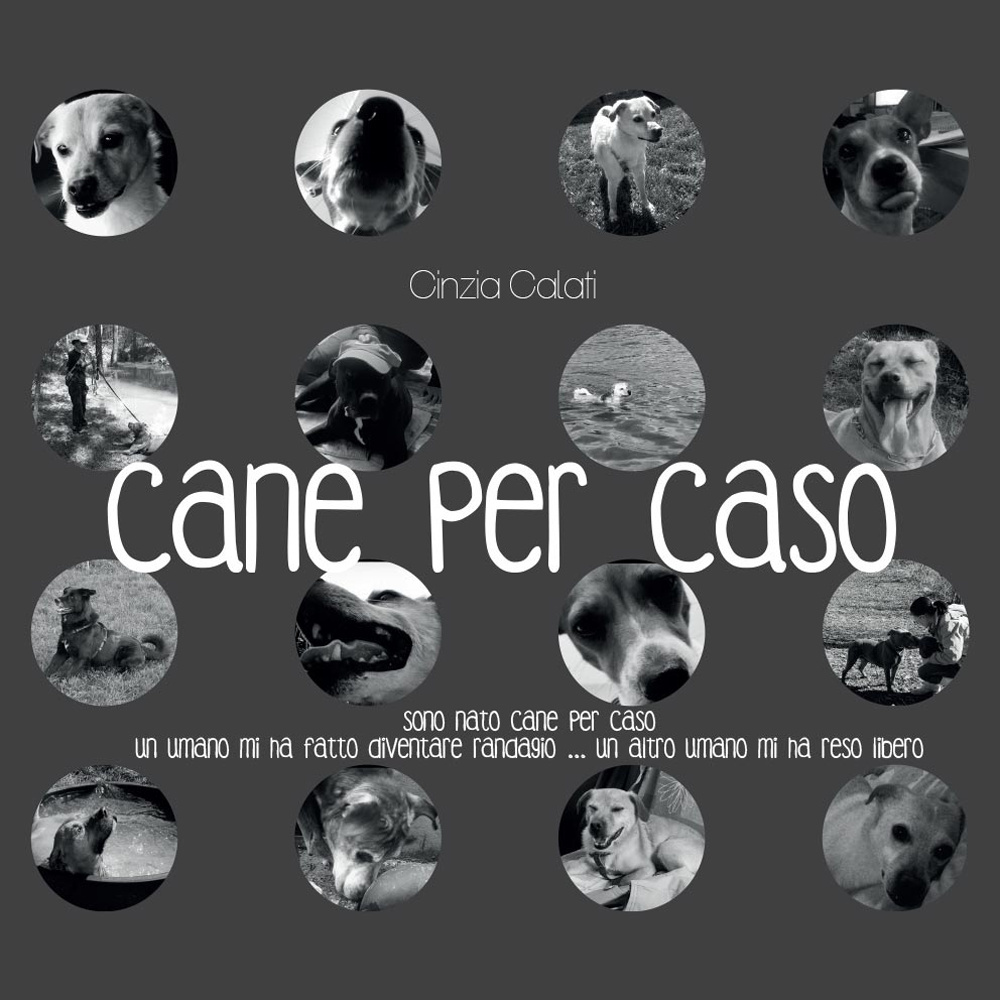 Cane per caso