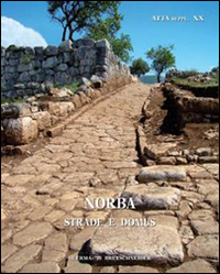 Norba. Strade e Domus