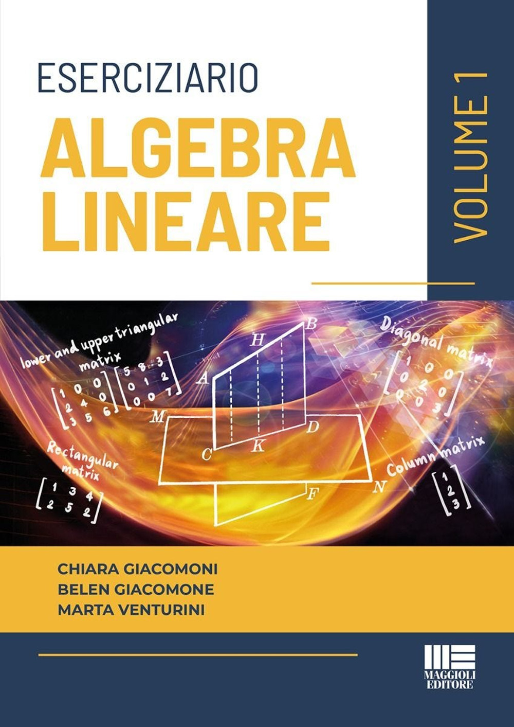 Eserciziario di algebra lineare. Vol. 1
