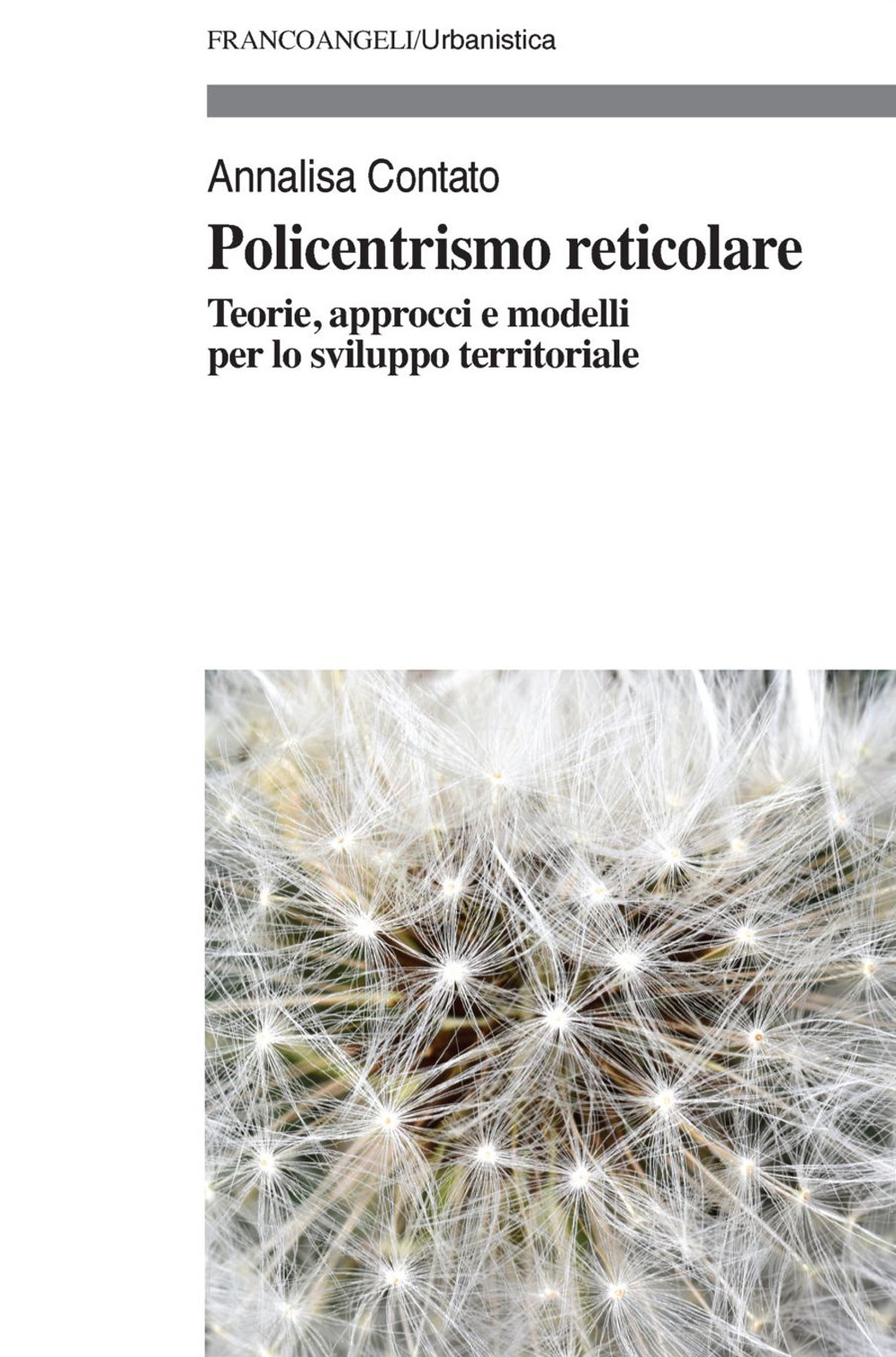 Policentrismo reticolare. Teorie, approcci e modelli per la pianificazione di città e territori