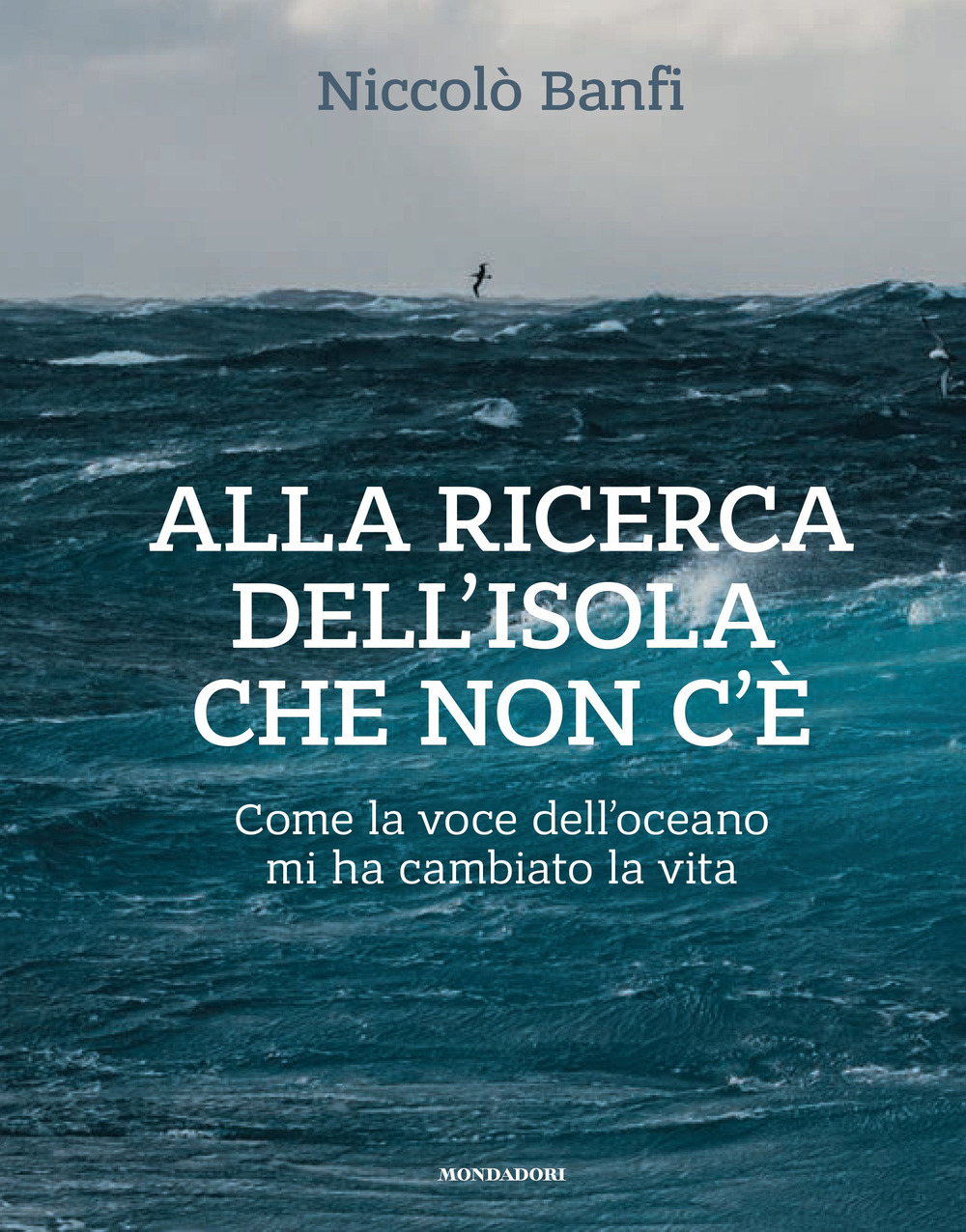 Alla ricerca dell'isola che non c'è. Come la voce dell'oceano mi ha cambiato la vita. Ediz. illustrata