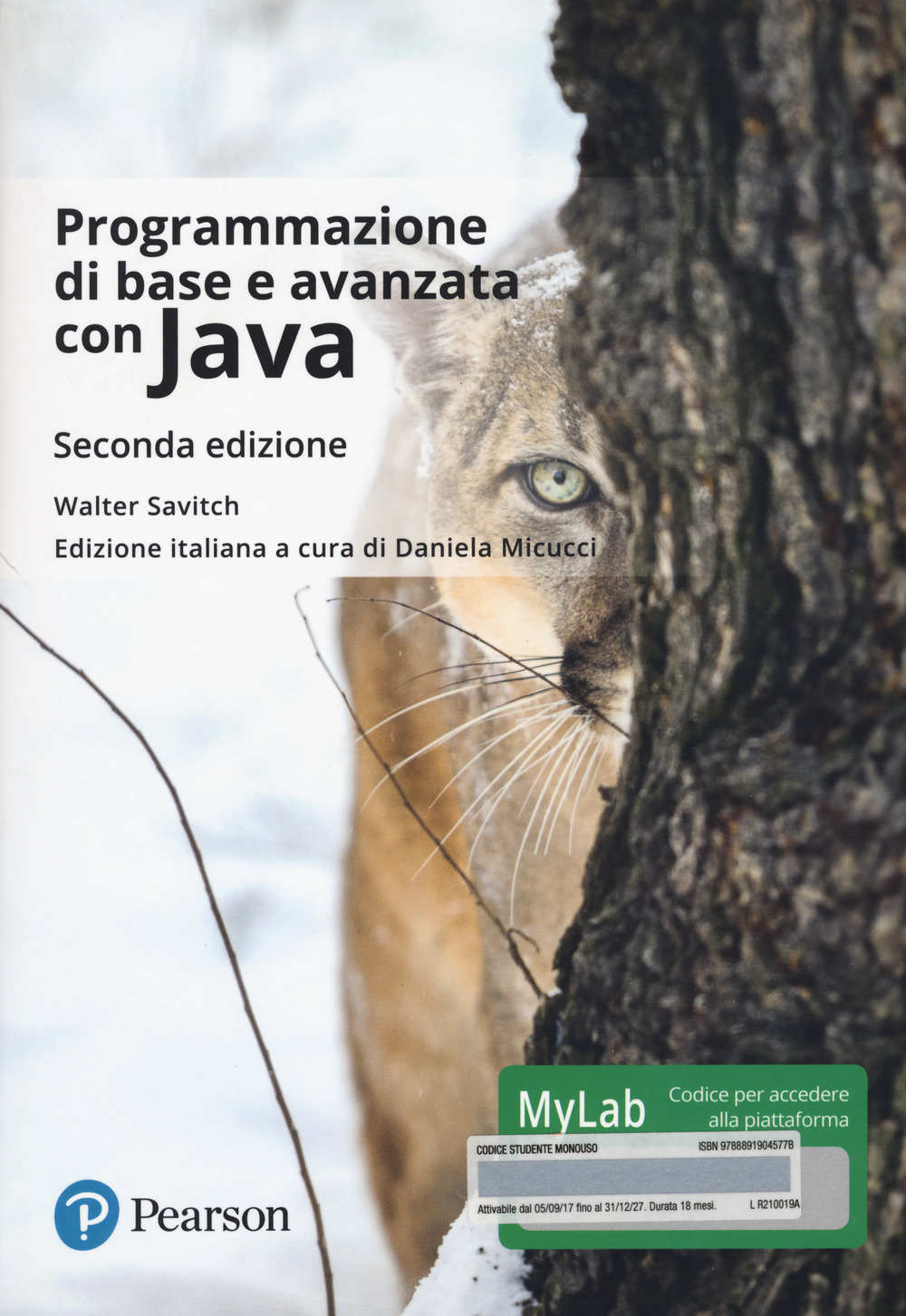 Programmazione di base e avanzata con Java. Ediz. Mylab. Con Contenuto digitale per download e accesso online