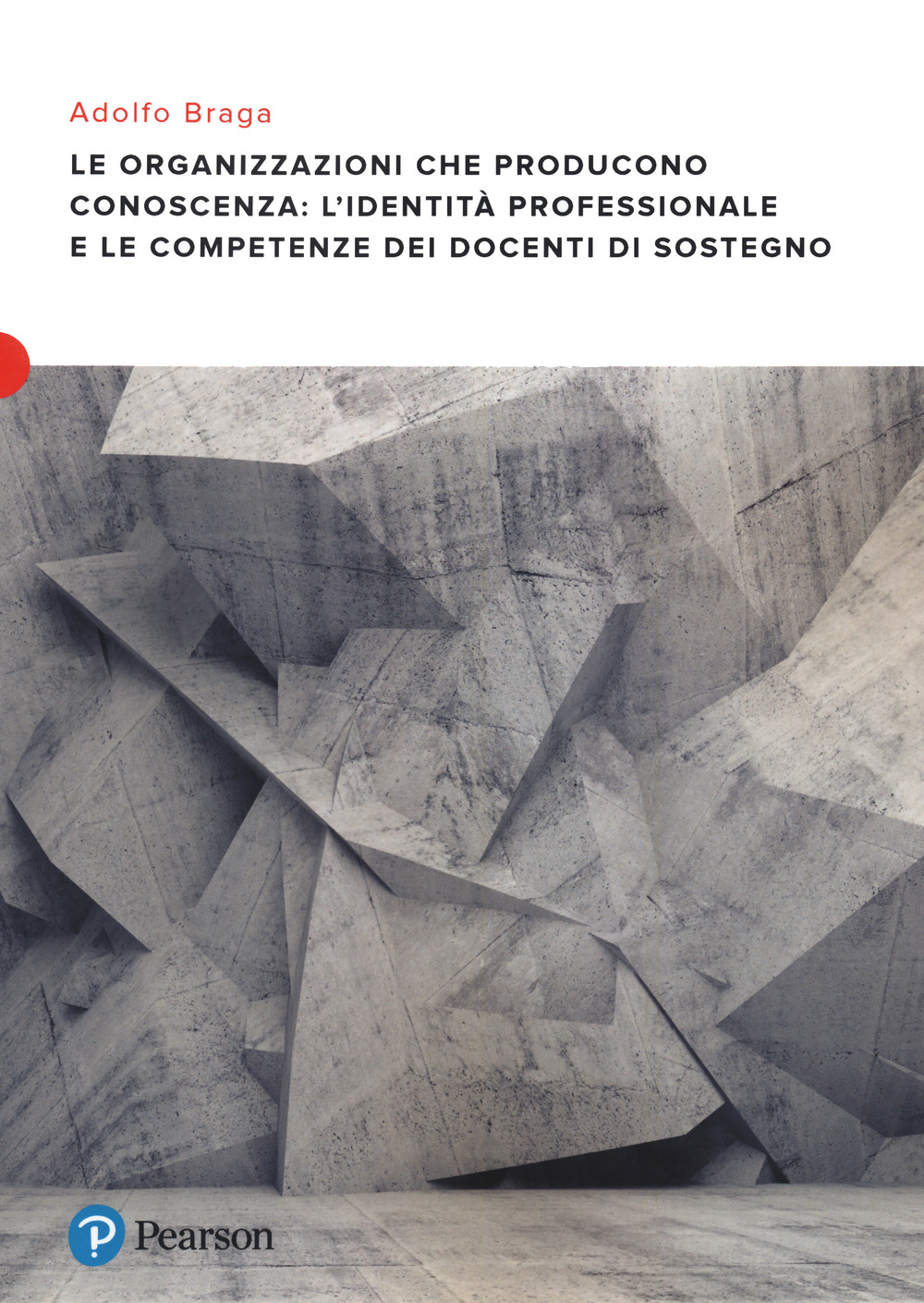 Le organizzazioni che producono conoscenza: l'identità professionale e le competenze dei docenti di sostegno