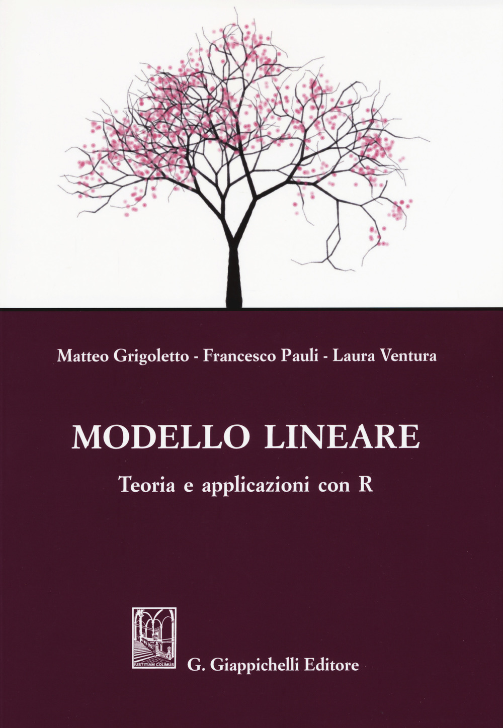 Modello lineare. Teoria e applicazioni con R