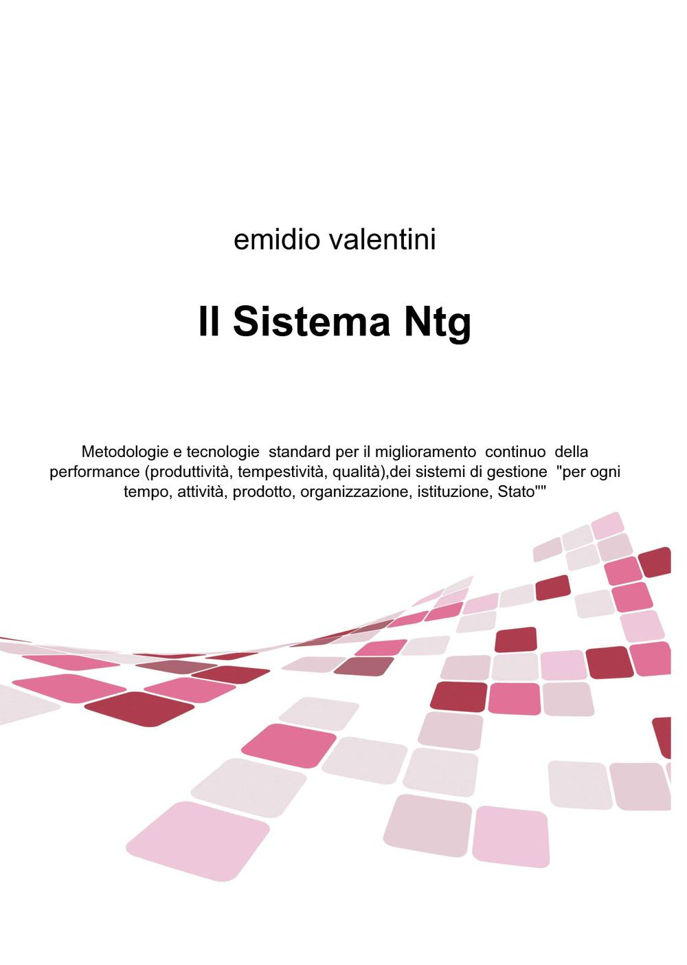 Il Sistema Ntg. Metodologie e tecnologie standard per il miglioramento continuo della performance (produttività, tempestività, qualità), dei sistemi di gestione...