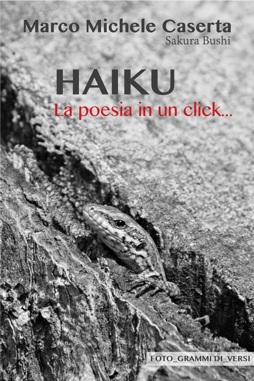 Haiku. La poesia in un click...