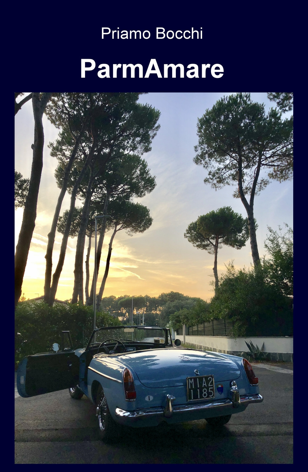 ParmAmare