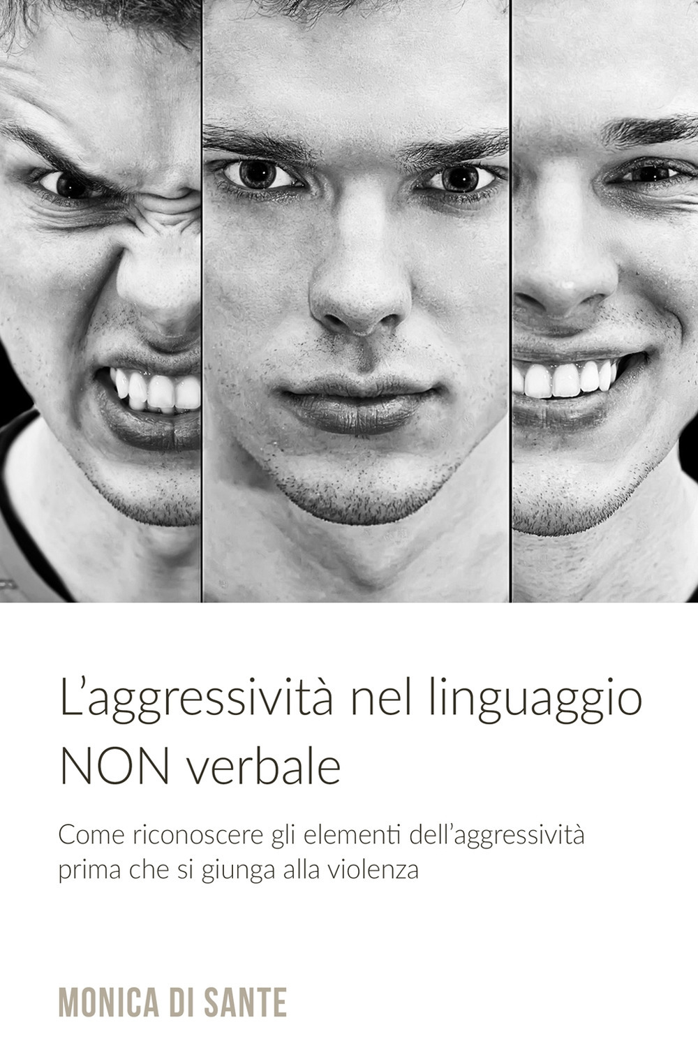 L'aggressività nel linguaggio non verbale