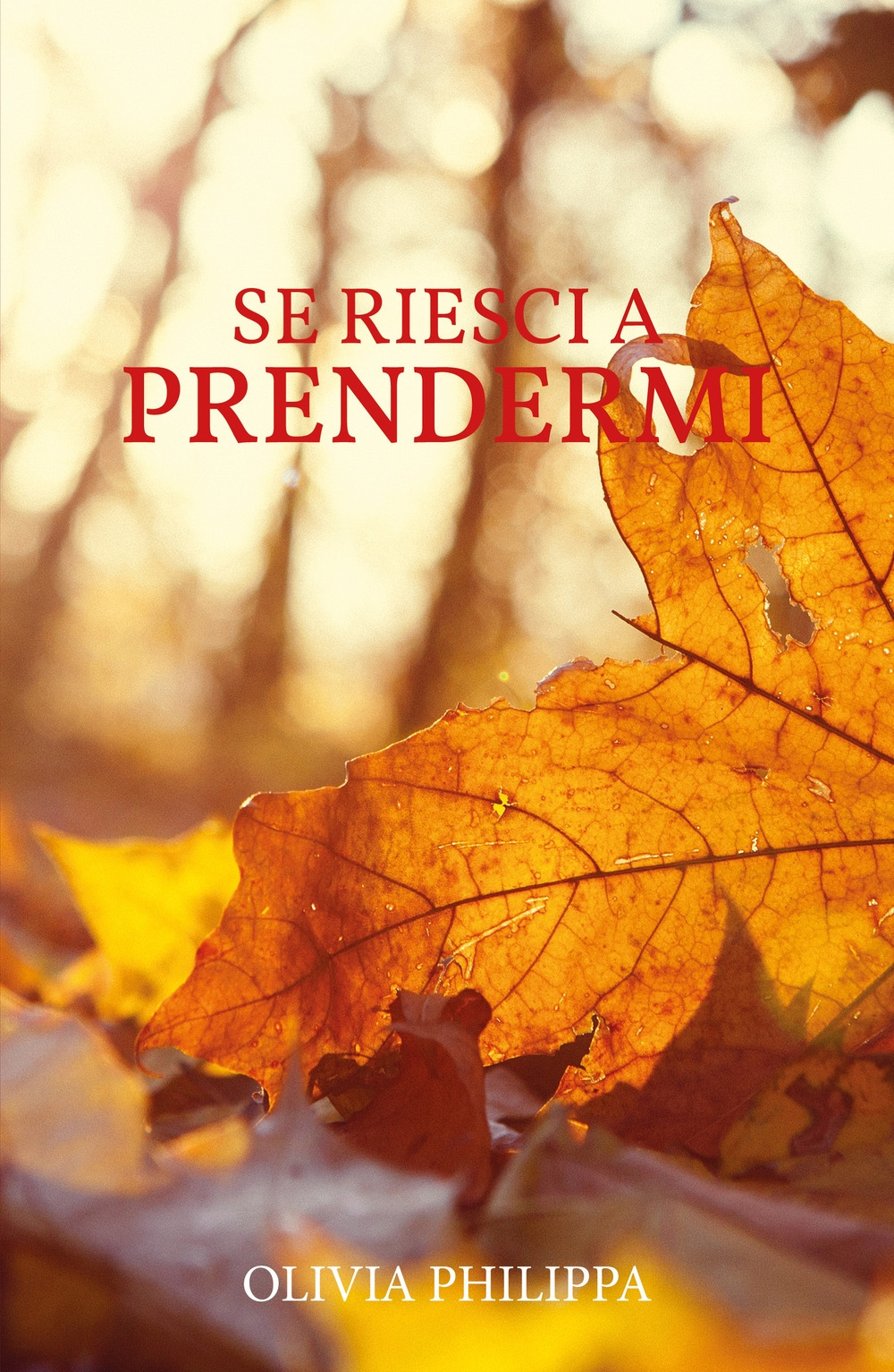 Se riesci a prendermi