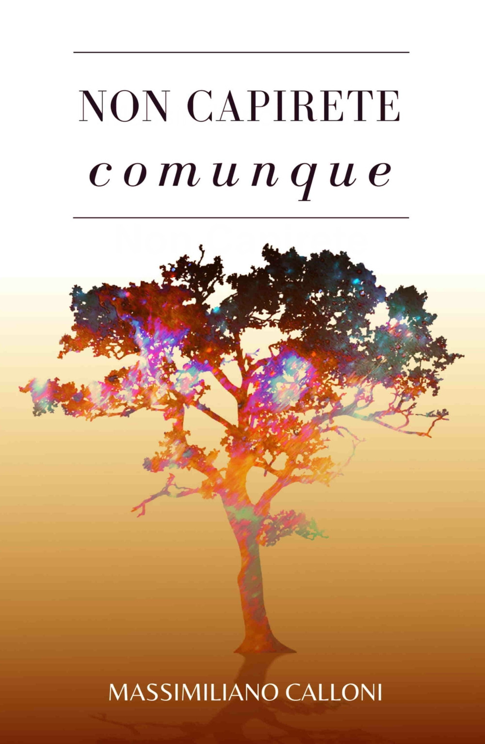 Non capirete comunque