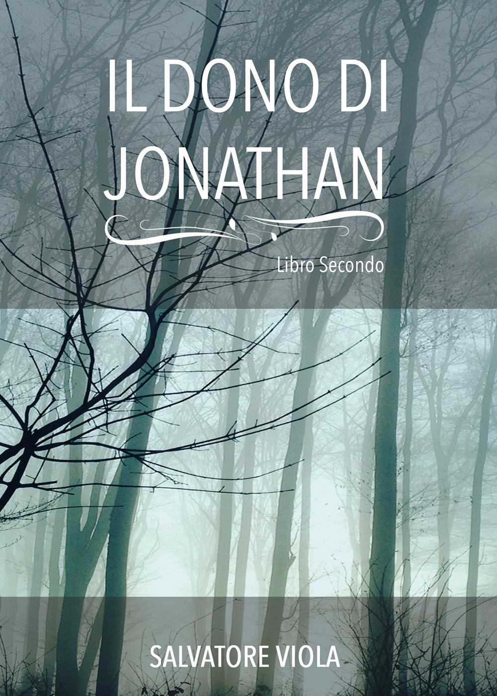 Il dono di Jonathan