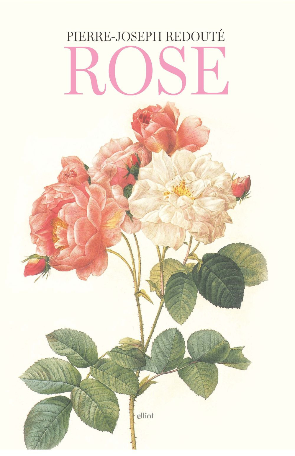 Rose. Ediz. illustrata