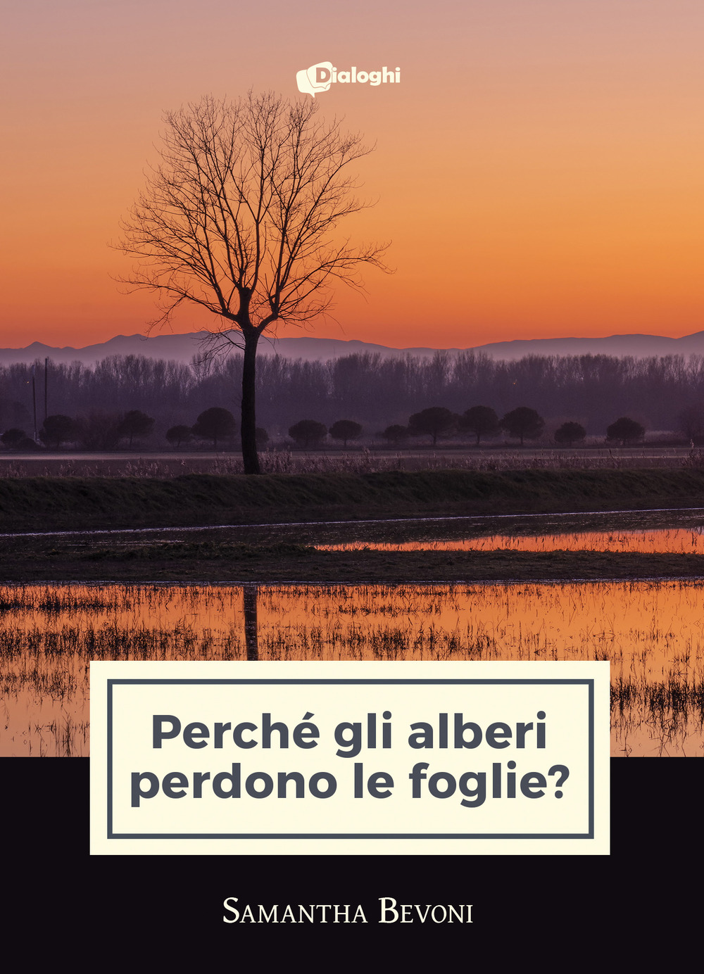 Perché gli alberi perdono le foglie?