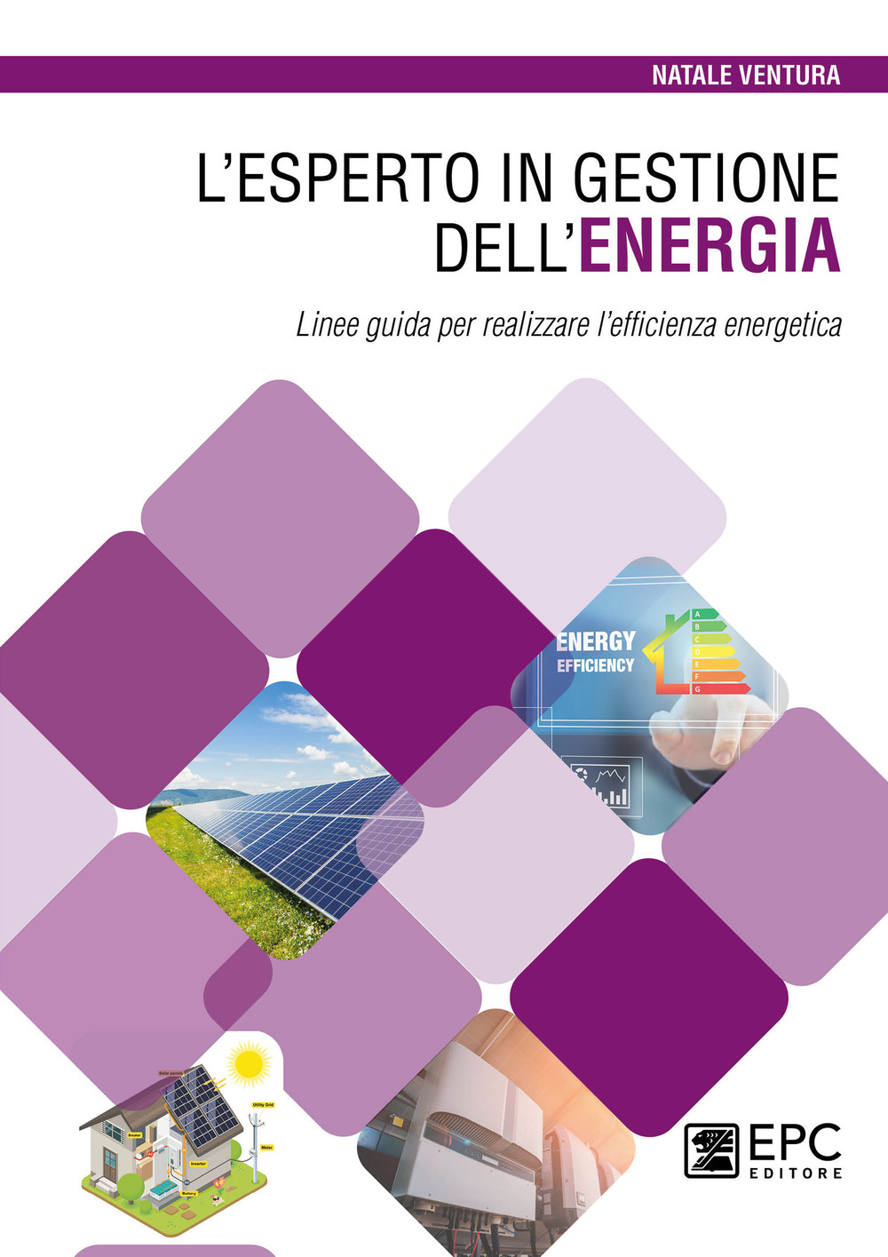 L'esperto in gestione dell'energia. Linee guida per realizzare l'efficienza energetica