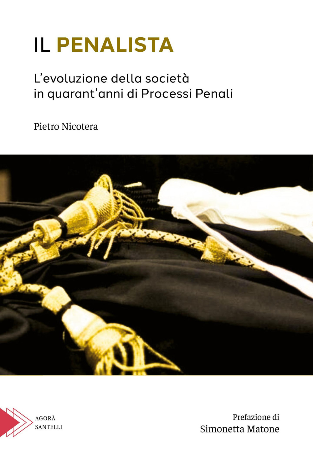 Il penalista