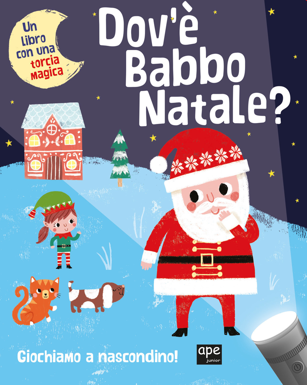 Dov'è Babbo Natale? Ediz. illustrata