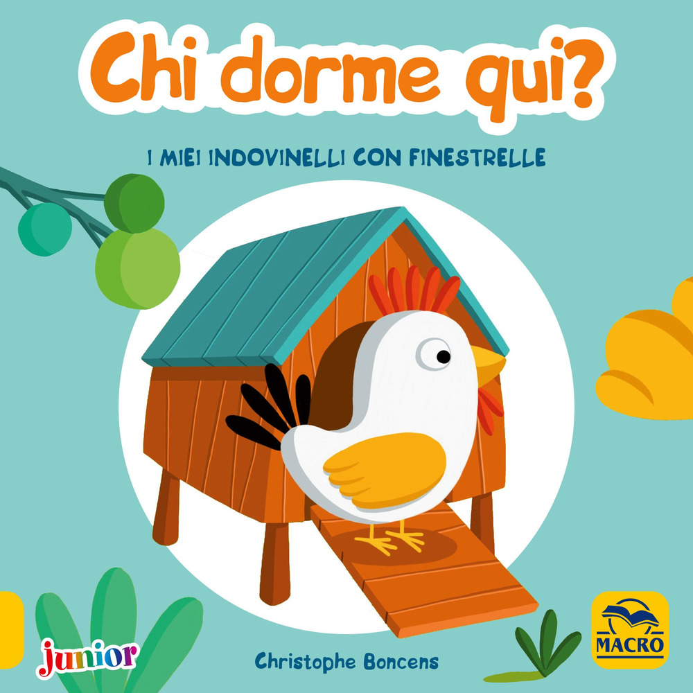 Chi dorme qui! I miei indovinelli con finestrelle. Ediz. a colori