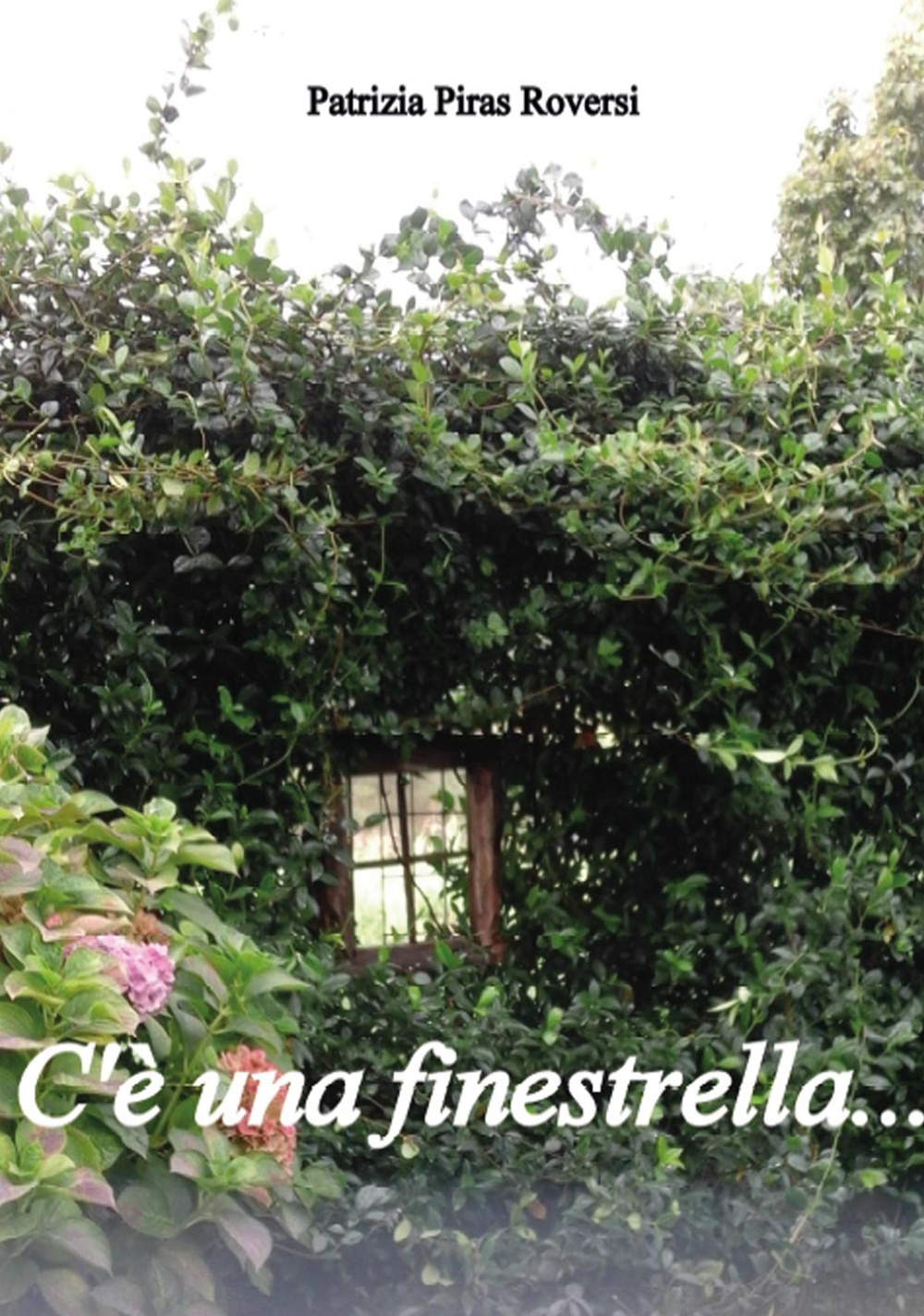 Cè una finestrella...