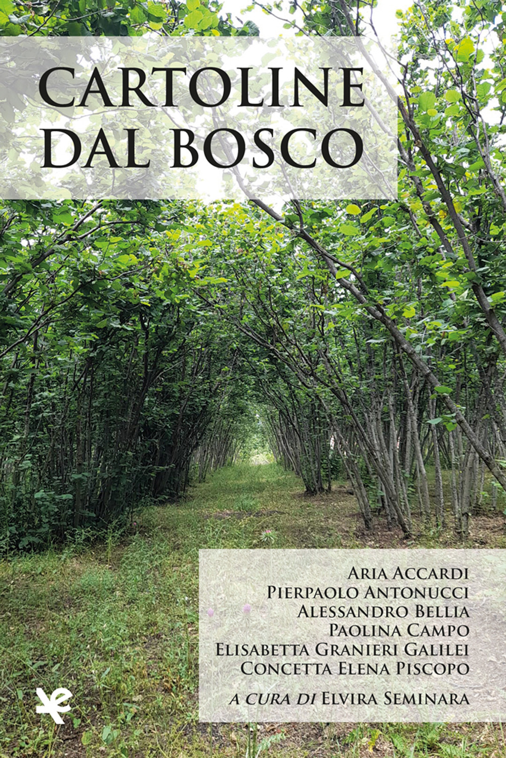 Cartoline dal bosco