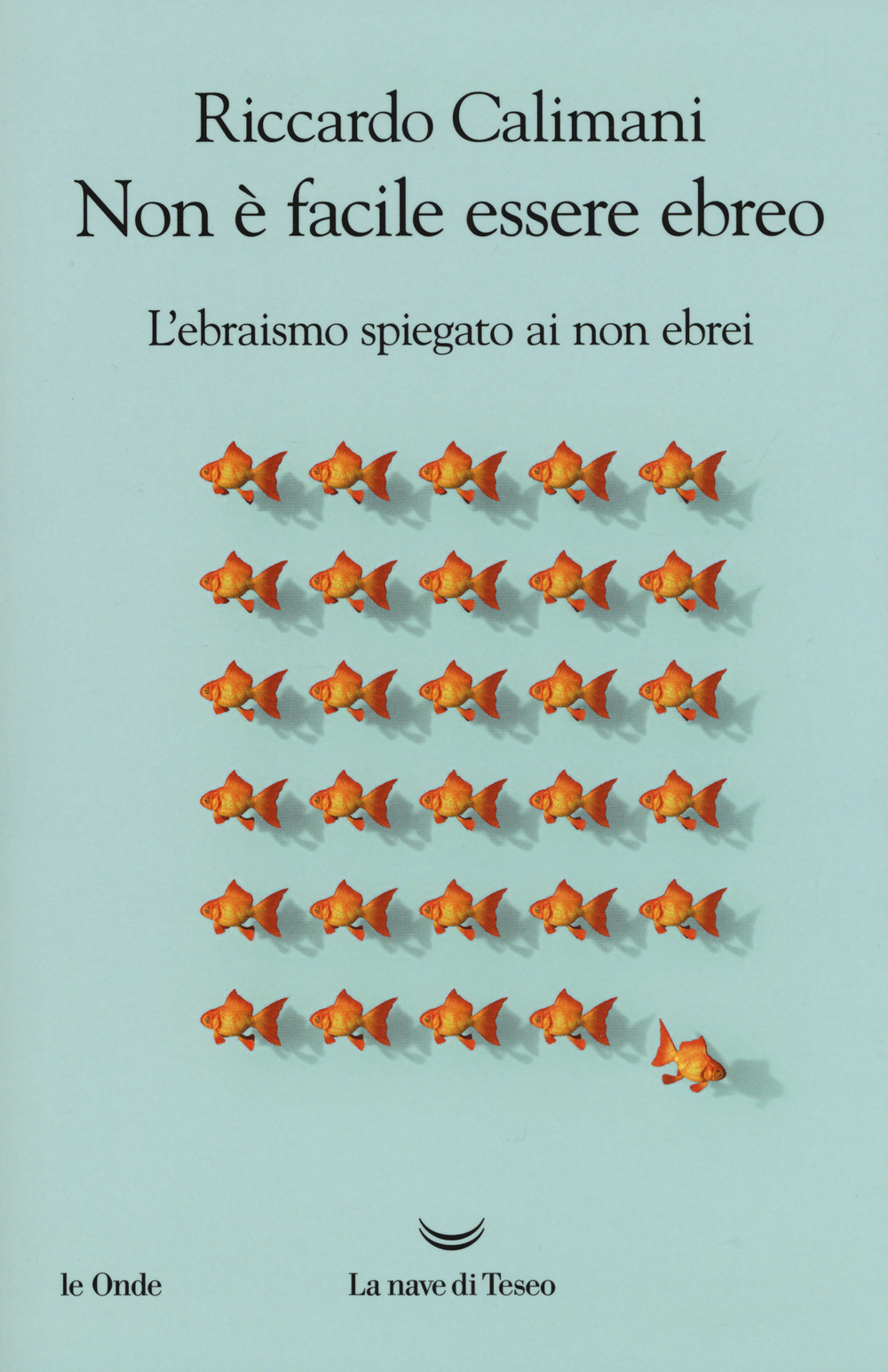 Non è facile essere ebreo. L'ebraismo spiegato ai non ebrei