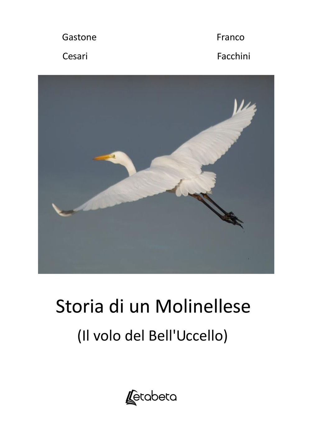 Storia di un molinellese (Il volo del Bell'Uccello)