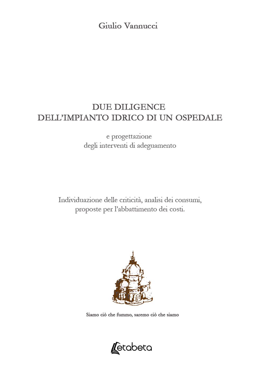 Due diligence dell'impianto idrico di un ospedale e progettazione degli interventi di adeguamento. Individuazione delle criticità, analisi dei consumi, proposte per l'abbattimento dei costi