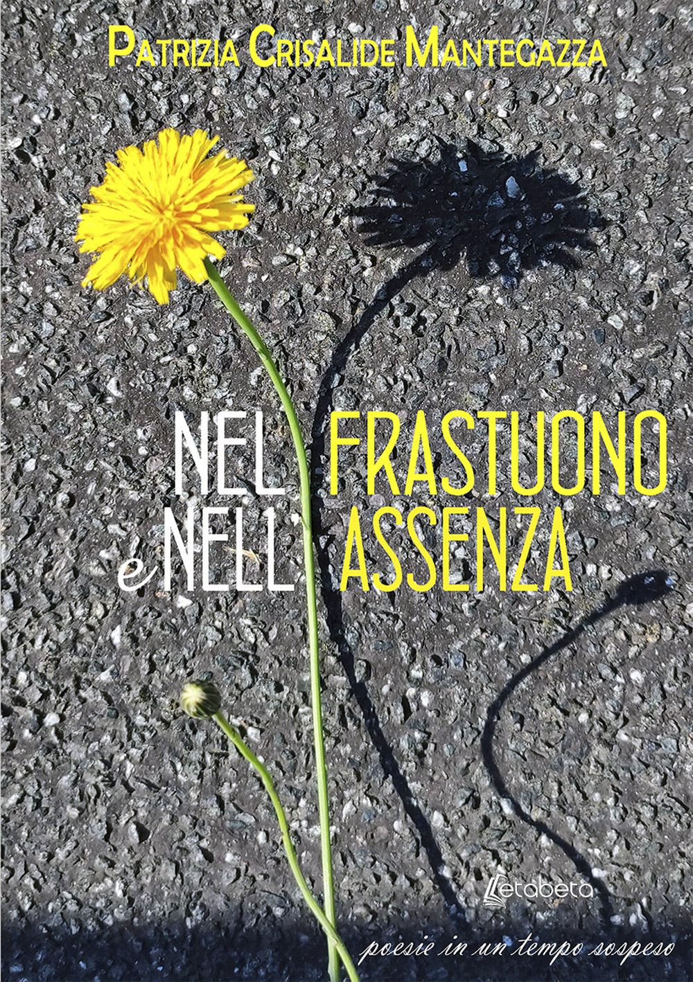 Nel frastuono e nell'assenza. Poesie in un tempo sospeso