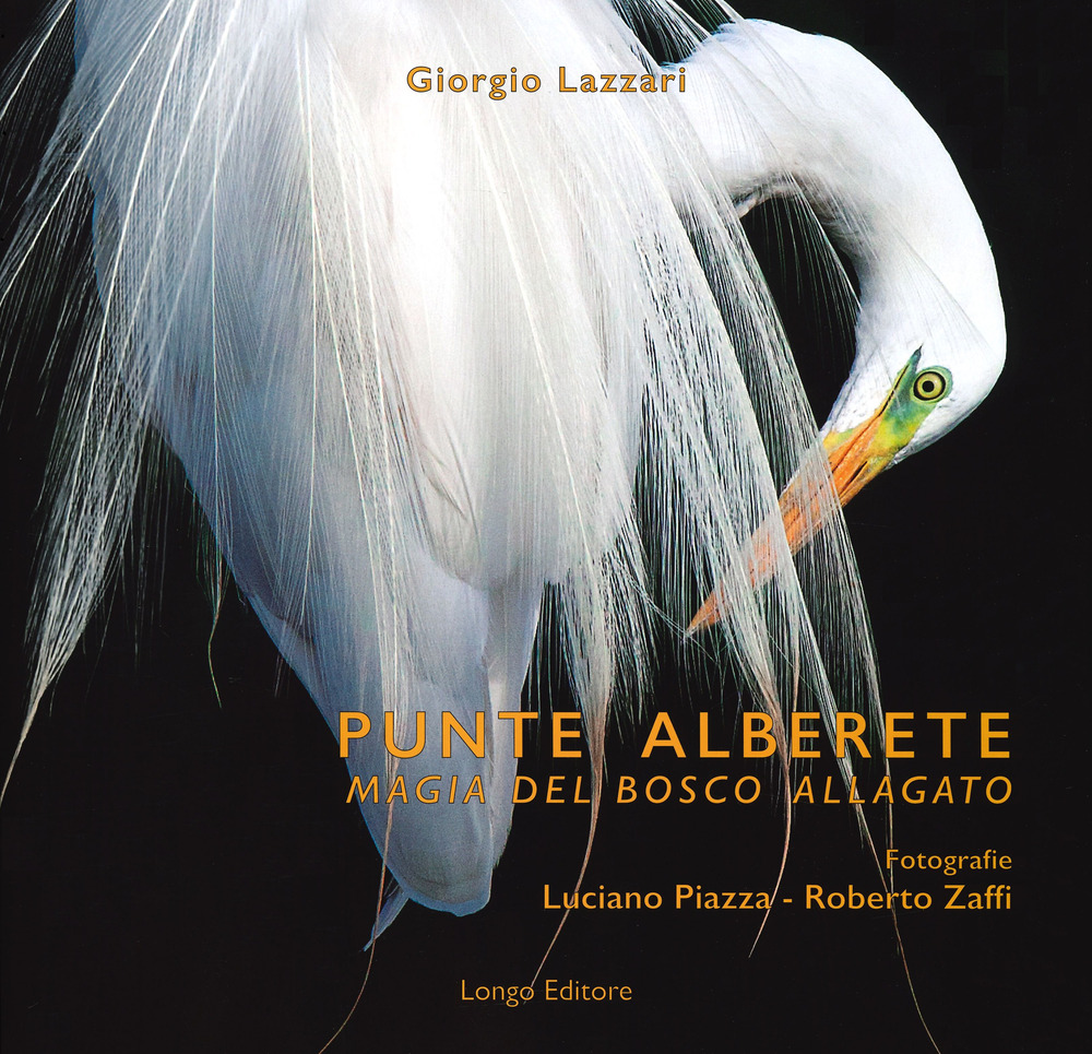 Punte Alberete. Magia del bosco allagato. Ediz. a colori
