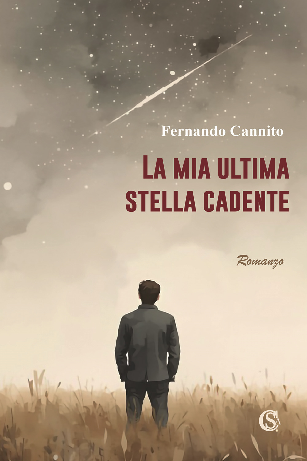 La mia ultima stella cadente
