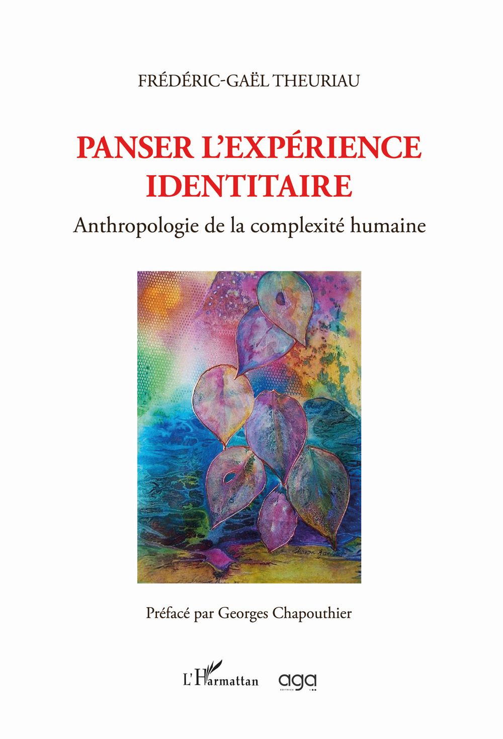 Panser l'expérience identitaire. Anthropologie de la complexité humaine