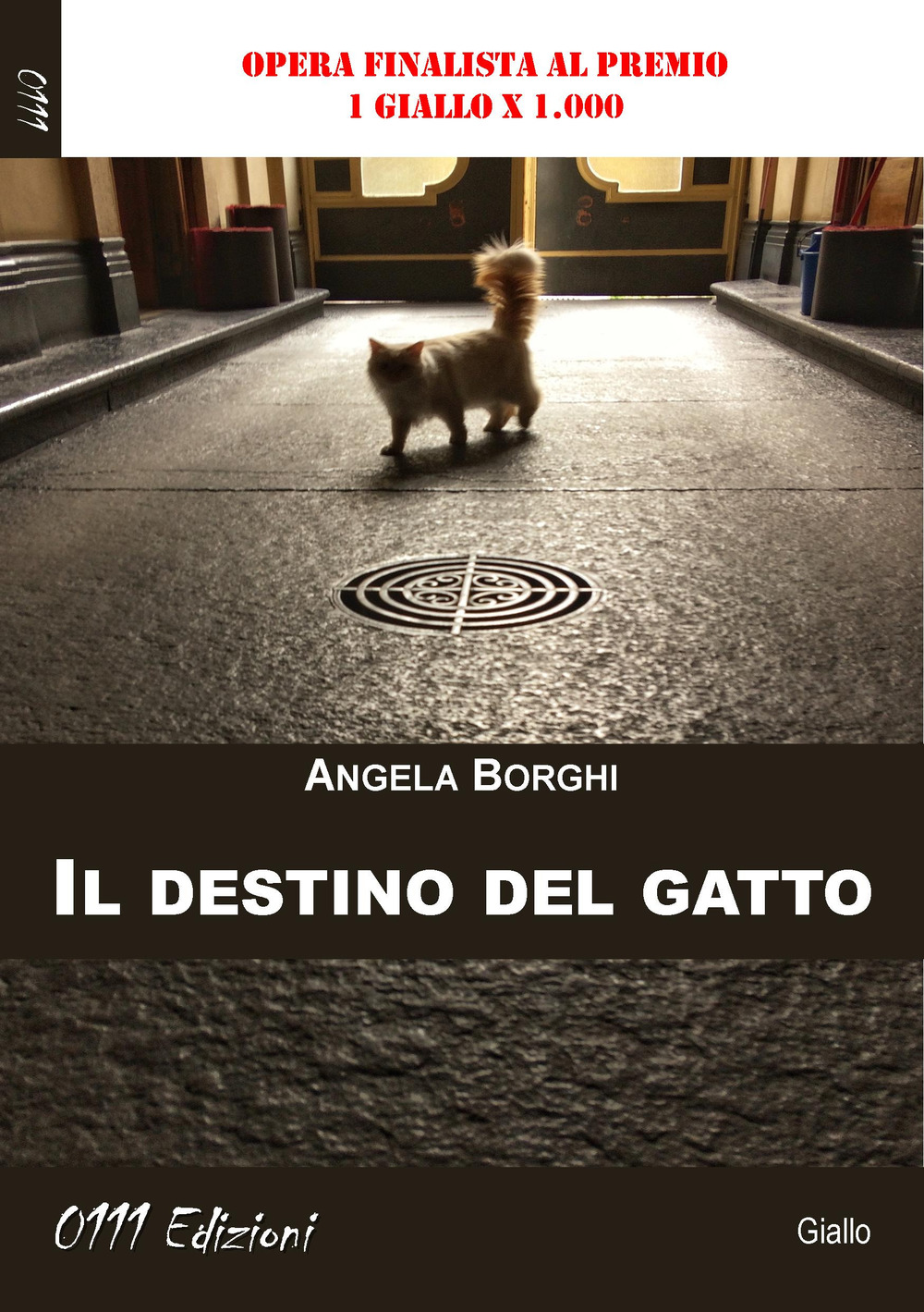 Il destino del gatto