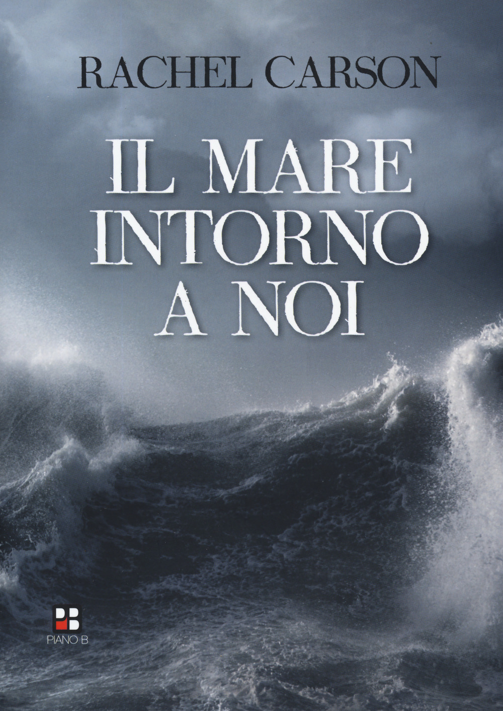 Il mare intorno a noi