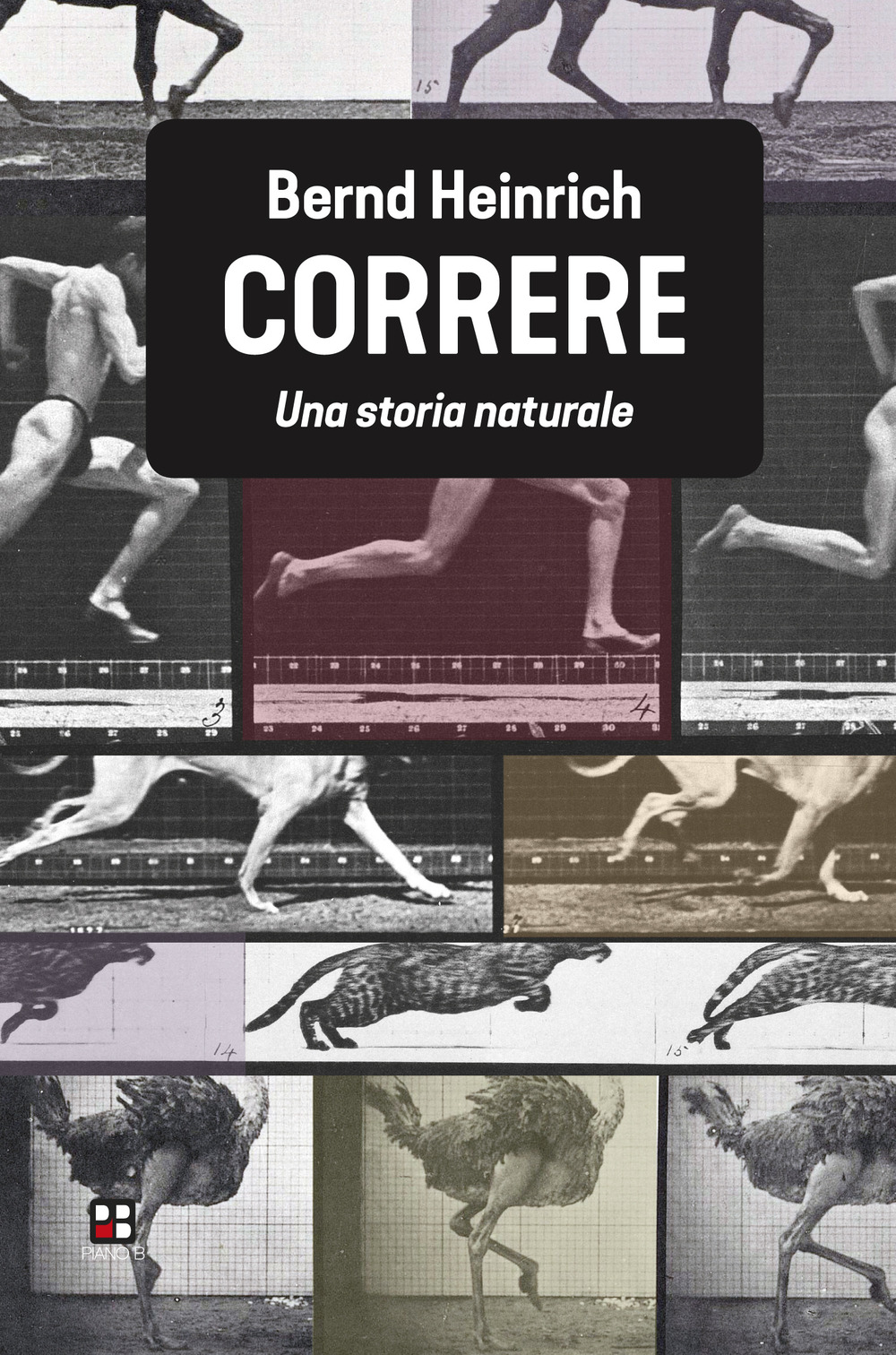 Correre. Una storia naturale