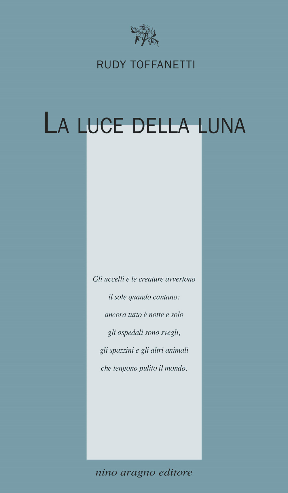 La luce della luna