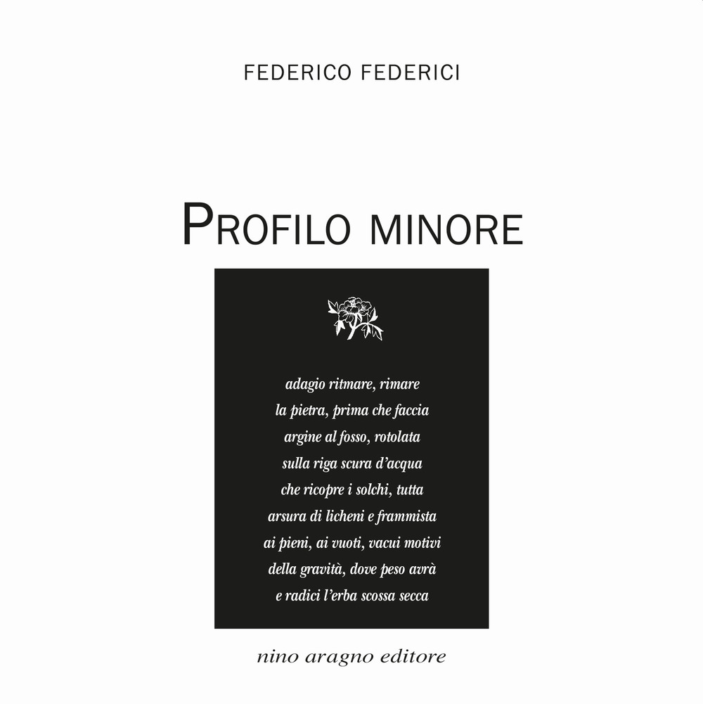 Profilo minore