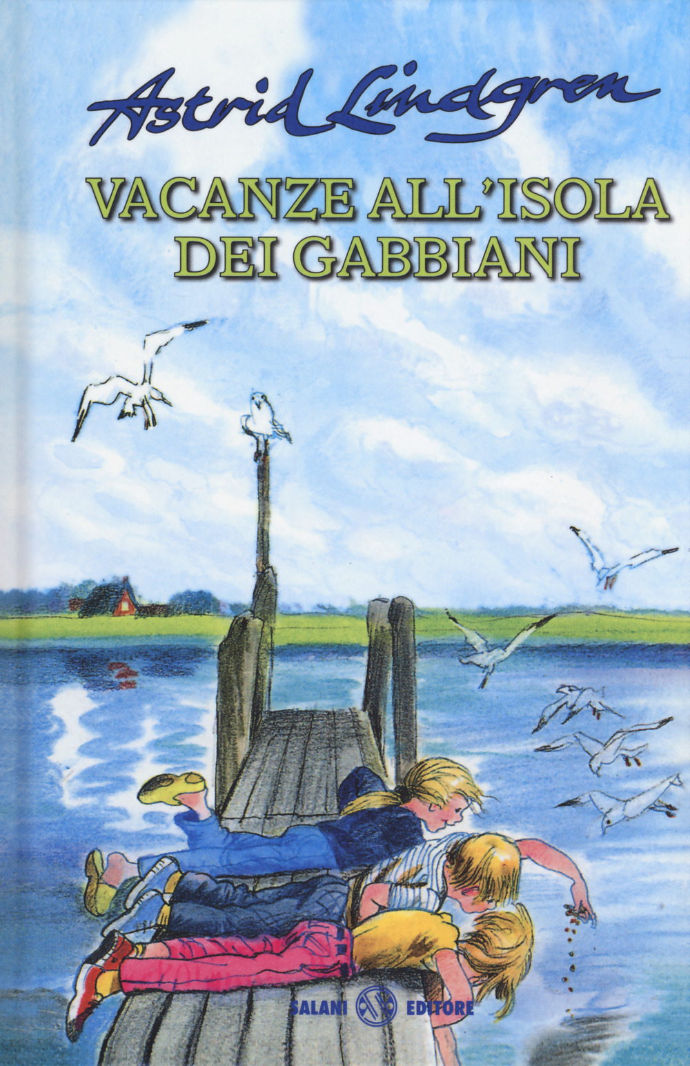 Vacanze all'isola dei gabbiani. Nuova ediz.