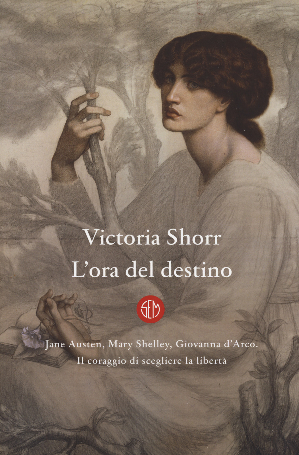 L'ora del destino. Jane Austen, Mary Shelley, Giovanna D'Arco. Il coraggio di scegliere la libertà