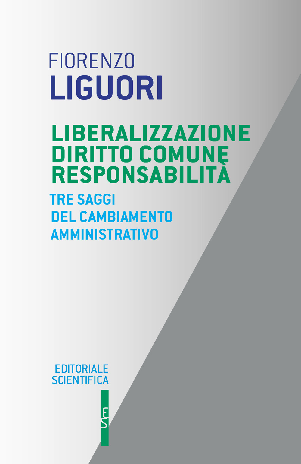 Liberalizzazione diritto comune responsabilità. Tre saggi del cambiamento amministrativo