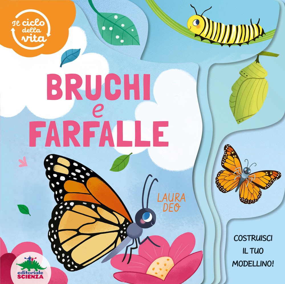 Bruchi e farfalle. Il ciclo della vita. Ediz. a colori