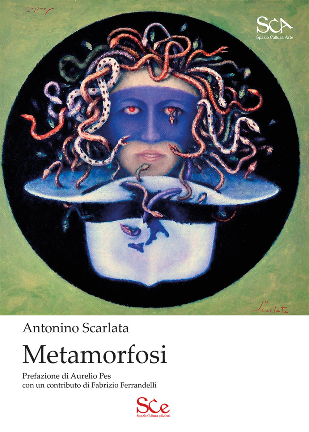 Metamorfosi. Ediz. illustrata