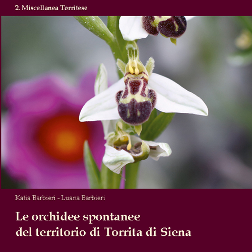 Le orchidee spontanee del territorio di Torrita di Siena. Ediz. illustrata